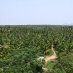 Bidadi project: Hours after Karnataka Chief Minister announces review panel, govt. issues final land notification for acquiring 4,944.49 acres across four villages