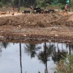Mittaganahalli landfill, sitting on 287 crore litres of leachate, leaks into Srinivasapura Lake