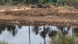 Mittaganahalli landfill, sitting on 287 crore litres of leachate, leaks into Srinivasapura Lake