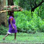 Why tribal communities in Kerala are at the receiving end of digital disconnect