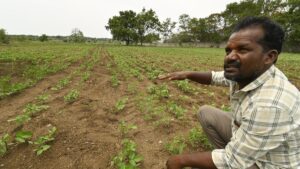 Telangana reservoirs levels constrict irrigation usage; ground water in State may plummet from 9.46 mgbl to 11.01 mgbl