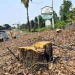 KBR petitioners deny making any complaint to CEC