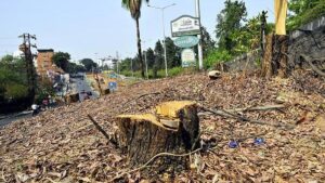 KBR petitioners deny making any complaint to CEC