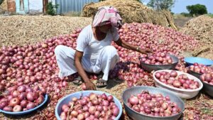 Show same concern for rain-hit farmers as traffic jams: Onion growers tell Maharashtra government