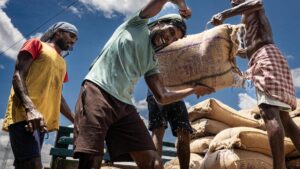 News in Frames: The weight of a nation’s food