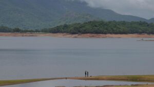 Kerala rains: Water from Idukki Pambla dam released; residents along Periyar advised caution