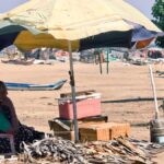 As the sea changes, fisherwomen in Tamil Nadu struggle to stay afloat