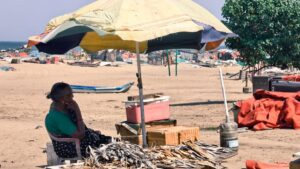 As the sea changes, fisherwomen in Tamil Nadu struggle to stay afloat