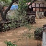 Around 1.75 tonnes of red sanders stolen from sandalwood depot