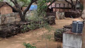 Around 1.75 tonnes of red sanders stolen from sandalwood depot