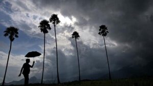 Kerala rains: Monsoon likely to intensify; IMD sounds orange alert for three districts on July 29