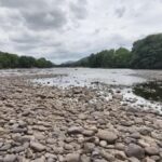 Direct Karnataka to release backlog of 17.604 tmcft Cauvery water: T.N. to Supreme Court