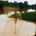 As Polavaram looms, Koyas cast one last net in Godavari floods