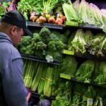 ‘Nobody wants it’: Lettuce prices see record-setting plunge as cyclospora spooks consumers
