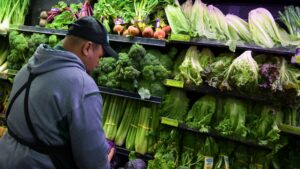 ‘Nobody wants it’: Lettuce prices see record-setting plunge as cyclospora spooks consumers