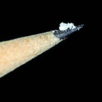 The Surat link to US fentanyl crisis