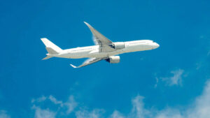 Soon, no need for physical boarding cards at immigration