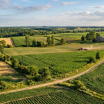 22 million hectares of degraded land restored during 2011 and 2020