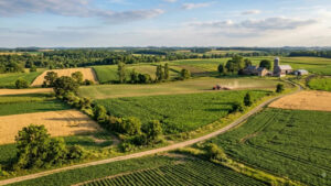 22 million hectares of degraded land restored during 2011 and 2020