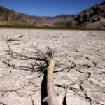 COP17: New global architecture for drought resilience launched at UNCCD meet