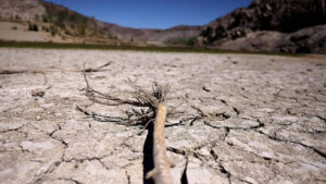 COP17: New global architecture for drought resilience launched at UNCCD meet