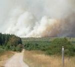 Firefighters battle wildfire tearing through Belgian nature reserve