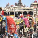 Dasara elephants accorded grand ceremonial welcome at Mysuru Palace