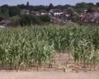 Burnham announces £65m for drought-hit farmers after Labour pressure