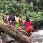 With no road, Edamalakkudy man carried on bamboo stretcher for 10 km via dense forest to hospital
