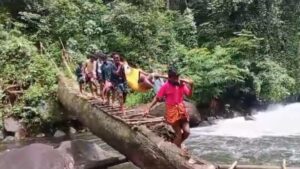 With no road, Edamalakkudy man carried on bamboo stretcher for 10 km via dense forest to hospital