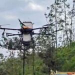 HML uses drone seeding to restore 15 acres of eucalyptus land in Idukki