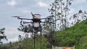 HML uses drone seeding to restore 15 acres of eucalyptus land in Idukki