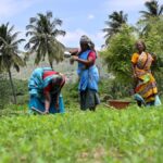 The rural-urban divide in female labour force participation
