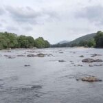 Karnataka credits rain for Cauvery water allotment to Tamil Nadu; TN says it was not voluntary and seeks more water