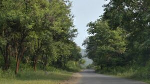 Hanur shoot-out case: Fourth man releases video on killing of three suspected poachers by Forest Department