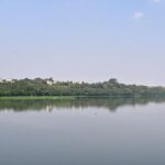 Tamil Nadu Assembly: Water Resources Department to build 27 check dams in State to conserve floodwater