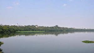 Tamil Nadu Assembly: Water Resources Department to build 27 check dams in State to conserve floodwater