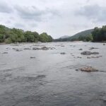 CWMA endorses CWRC’s direction to Karnataka to release 12,000 cusecs of water a day for 15 days to Tamil Nadu