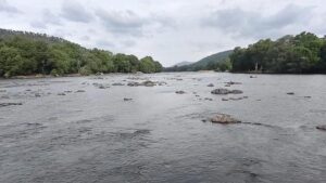 CWMA endorses CWRC’s direction to Karnataka to release 12,000 cusecs of water a day for 15 days to Tamil Nadu