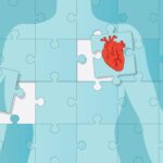 AI heart disease prediction tools show promise but are not ready for clinical use: review