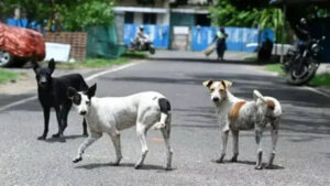 Chile, Bhutan show rabies can be beaten, but India’s 2030 target faces hurdles