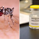 Dengue vaccine to hit market by first half of 2027