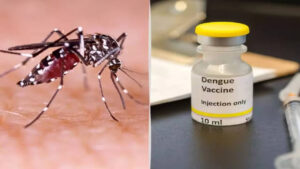 Dengue vaccine to hit market by first half of 2027