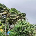 Heavy rain lashes Odisha; over 10,000 people evacuated, ministers rush to affected districts | LIVE