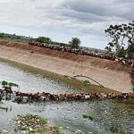 Boy’s body found, search on for father, uncle who swept away in Galeru-Nagari canal