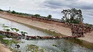 Boy’s body found, search on for father, uncle who swept away in Galeru-Nagari canal