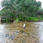 Zones of worry: Lives on the boil on forest fringes in Keralam after new ESA notification