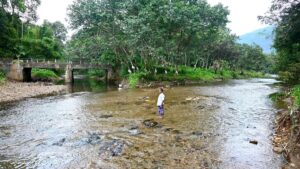 Zones of worry: Lives on the boil on forest fringes in Keralam after new ESA notification