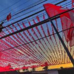 M.A. Baby to open CPI(M) extended State committee meeting in Kozhikode on September 13