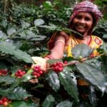A taste of Odisha at BRICS Summit: Koraput coffee given to global delegates